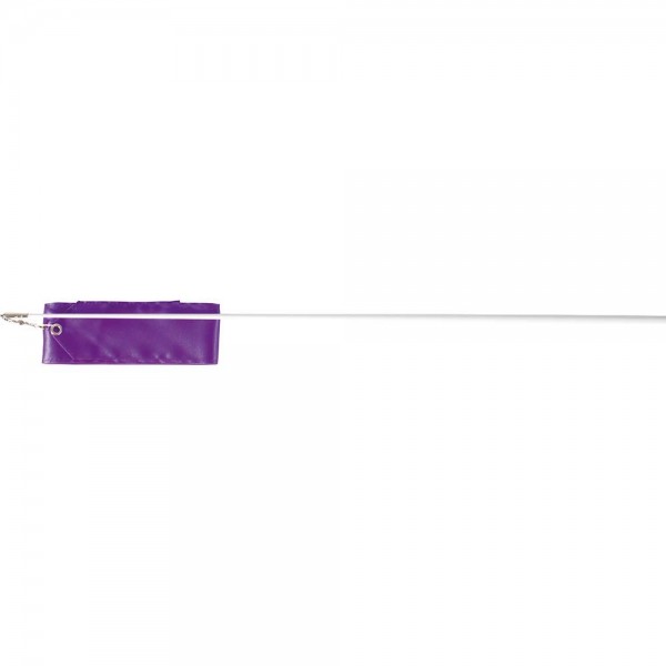 RIBBON - RHYTHMIC GYMNASTIC 4M, purple