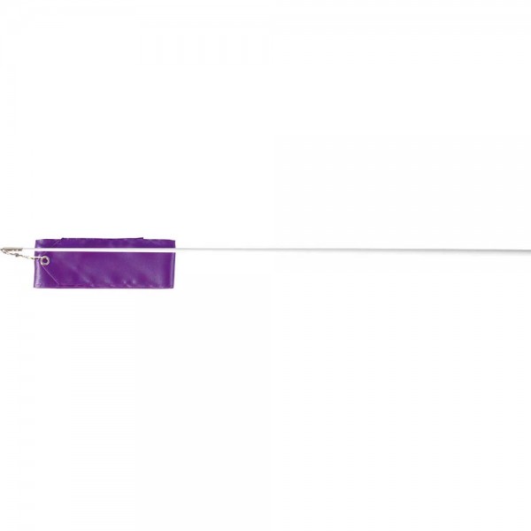 RIBBON - RHYTHMIC GYMNASTIC 5M, purple